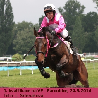 dostihy_Pardubice14a.jpg