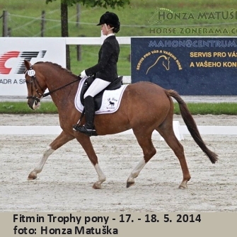 fitmin_Trophy14a.jpg