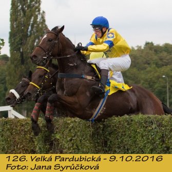 Velká Pardubická 2016