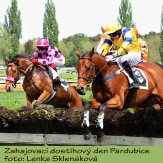 Dostihy Pardubice