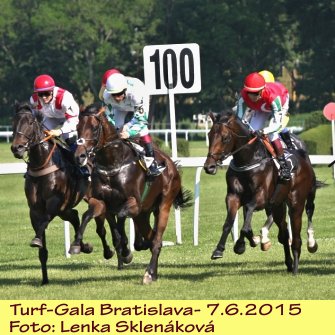 Turf Gala