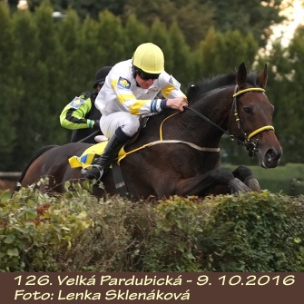 Velká Pardubická 2016