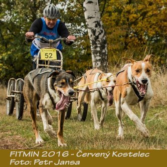 Fitmin 2016