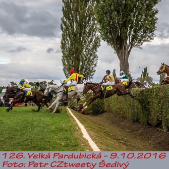 Velká Pardubická