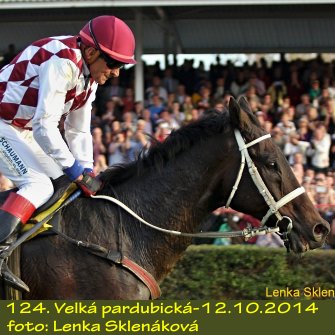 Velká Pardubická